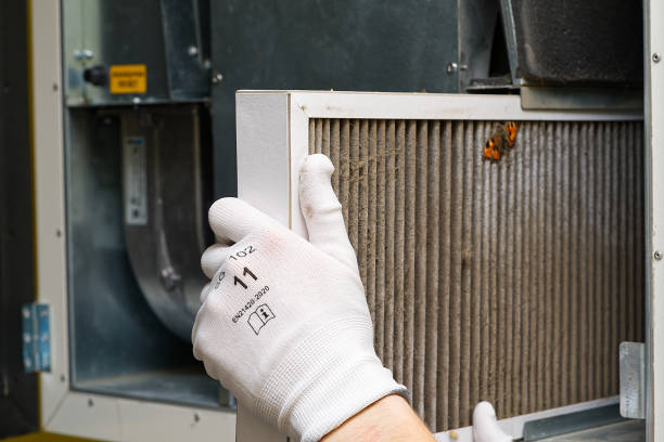 Best Ductwork Cleaning Services  in Leo Cedarville, IN