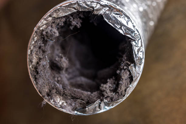 Best Local Air Duct Cleaning Services  in Leo Cedarville, IN